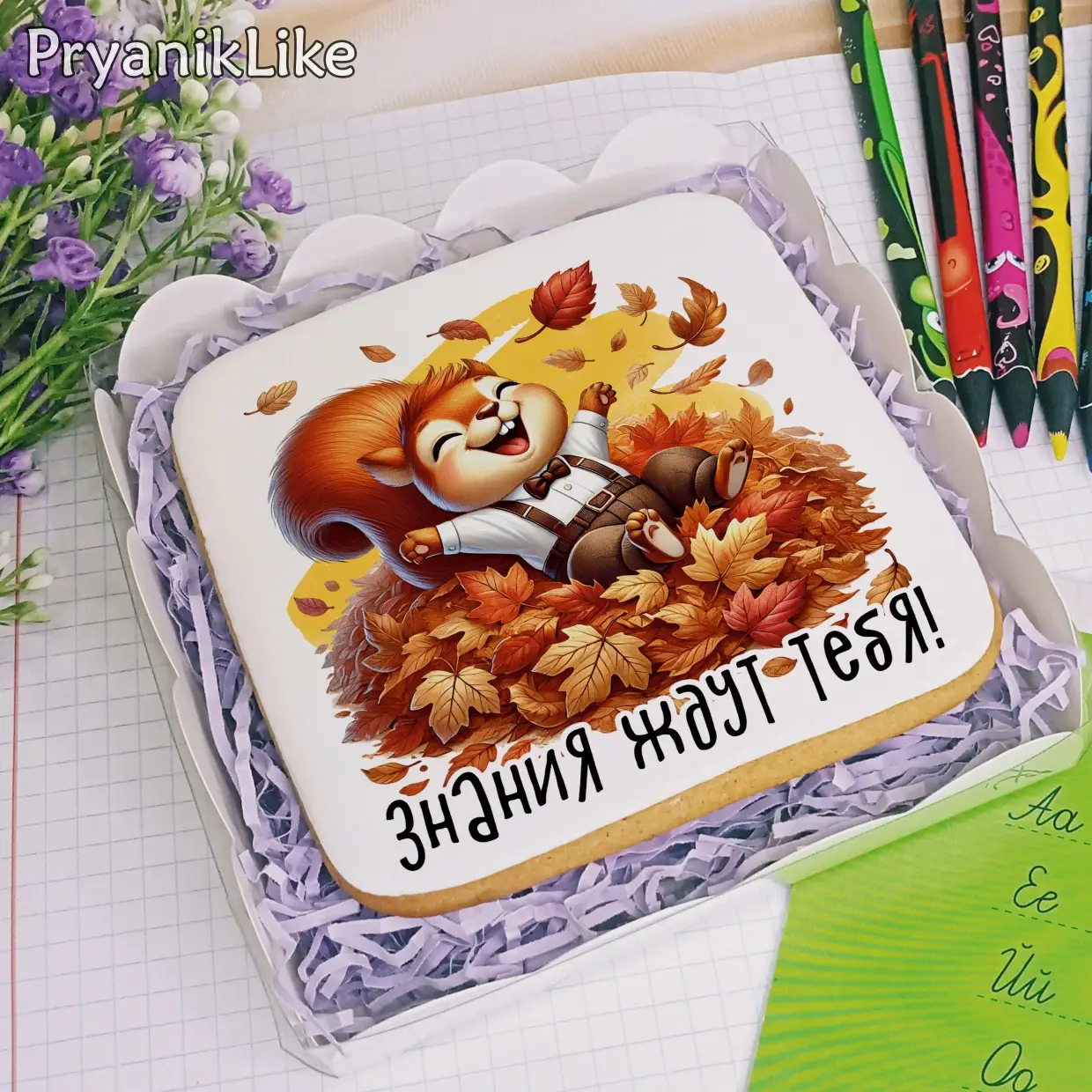 (2024) Белки (10-10)